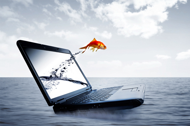 Почему фрилансер должен отказываться от работы