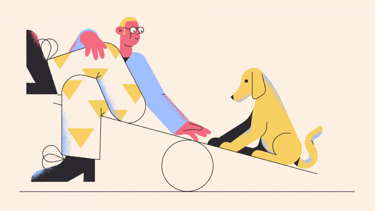 Бесплатное векторное программное обеспечение: лучшие инструменты для редактирования и рисования