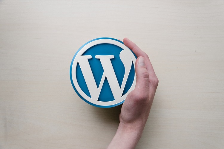 Все, что вы всегда хотели знать о WordPress (но боялись спросить)